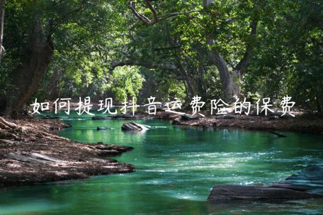 如何提現(xiàn)抖音運(yùn)費(fèi)險(xiǎn)的保費(fèi)